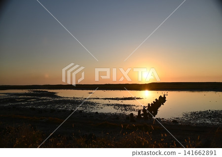 Low tide in the morning Low tide in the morning 141662891