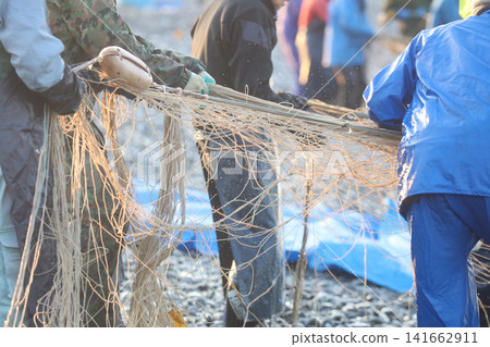 Fishermen pulling nets from the shore Fishermen pulling nets from the shore 141662911