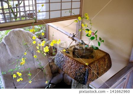 三溪園水池中的插花 三溪園水池中的插花 141662960