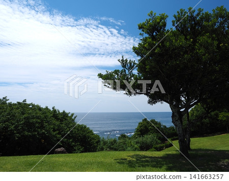 Kochi/Tosa Southwest Large-Scale Park: A grassy area on a hill overlooking the sea and the summer sky Kochi/Tosa Southwest Large-Scale Park: A grassy area on a hill overlooking the sea and the summer sky 141663257