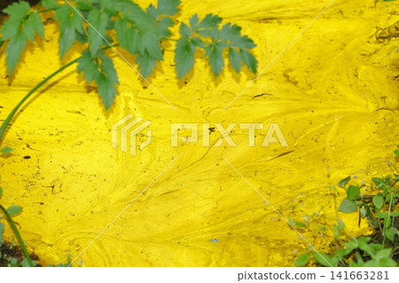 A scene of a puddle inside a semi-cave with a cold mineral spring (Shichigahama Town, Miyagi Prefecture) A scene of a puddle inside a semi-cave with a cold mineral spring (Shichigahama Town, Miyagi Prefecture) 141663281