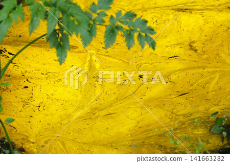 A scene of a puddle inside a semi-cave with a cold mineral spring (Shichigahama Town, Miyagi Prefecture) A scene of a puddle inside a semi-cave with a cold mineral spring (Shichigahama Town, Miyagi Prefecture) 141663282