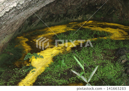 A scene of a puddle inside a semi-cave with a cold mineral spring (Shichigahama Town, Miyagi Prefecture) A scene of a puddle inside a semi-cave with a cold mineral spring (Shichigahama Town, Miyagi Prefecture) 141663283