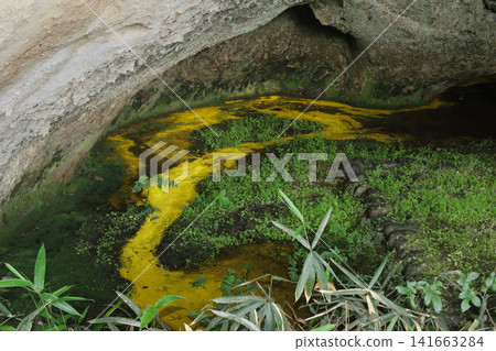 A scene of a puddle inside a semi-cave with a cold mineral spring (Shichigahama Town, Miyagi Prefecture) A scene of a puddle inside a semi-cave with a cold mineral spring (Shichigahama Town, Miyagi Prefecture) 141663284
