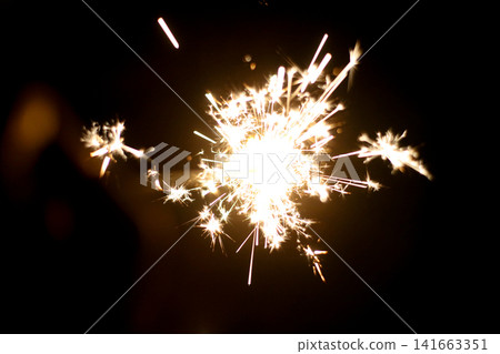 People enjoying handheld fireworks. People enjoying handheld fireworks. 141663351