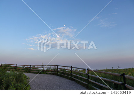 愛媛郡、四國喀斯特地形：夏日牧場與月光下的景色 141663419