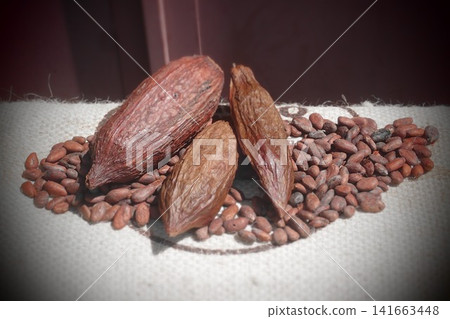 Cacao pods and cacao beans Cacao pods and cacao beans 141663448
