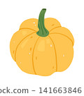 Yellow pumpkin with green stem  141663846