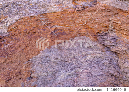 Close up of petrified wood texture showing preserved fossilized wood grain with brown and purple mineral layers. Ancient geological history, natural abstract patterns and prehistoric earth formations. Close up of petrified wood texture showing preserved fossilized wood grain with brown and purple mineral layers. Ancient geological history, natural abstract patterns and prehistoric earth formations. 141664046