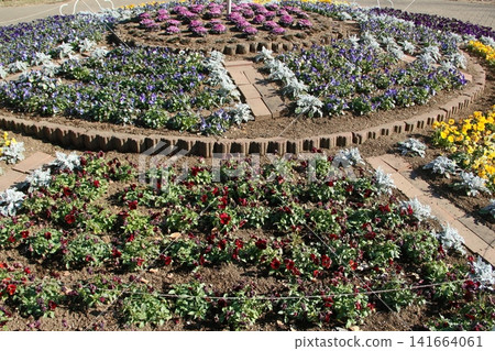circular garden 141664061