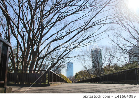 Yoyogi Park in Tokyo 141664099