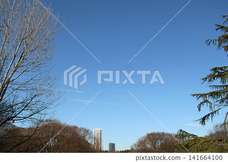 橫濱地標塔觀景台 141664100