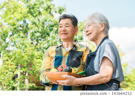 A senior farming couple with summer vegetables (agriculture, organic farming, crops) A senior farming couple with summer vegetables (agriculture, organic farming, crops) 141664252