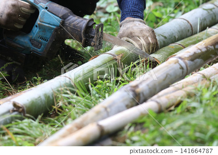 Man cutting bamboo Man cutting bamboo 141664787