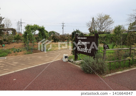 Scenery of Hanaku Village in Konosu City, Saitama Prefecture 141664847