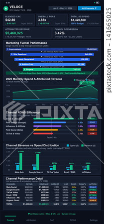 Mobile Marketing Analytics Dashboard with Performance Metrics and Data Charts 141665025