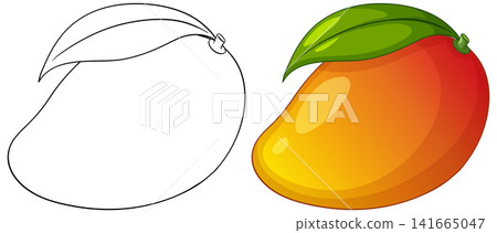 Vector Illustration of Ripe Mango with Outline and Colored Version Vector Illustration of Ripe Mango with Outline and Colored Version 141665047