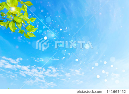 清澈的藍天和翠綠的樹葉,構成了令人心曠神怡的春日自然景象。 清澈的藍天和翠綠的樹葉,構成了令人心曠神怡的春日自然景象。 141665432