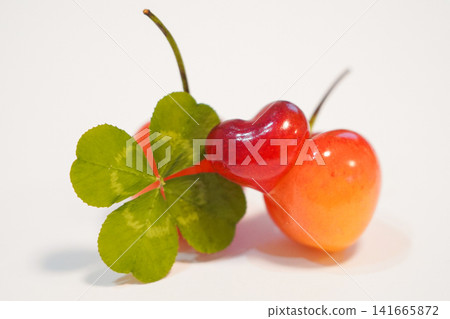 吉祥圖案:四葉草與心形櫻桃 吉祥圖案:四葉草與心形櫻桃 141665872