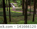 [Hachioji Castle Ruins] An ancient path through the forest 141666120