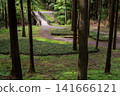 [Hachioji Castle Ruins] An ancient path through the forest 141666121