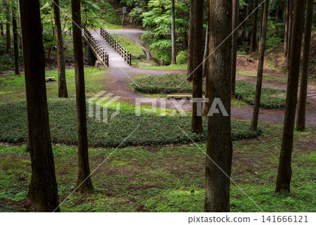 【八王子城遺址】穿過森林的古老小徑 【八王子城遺址】穿過森林的古老小徑 141666121