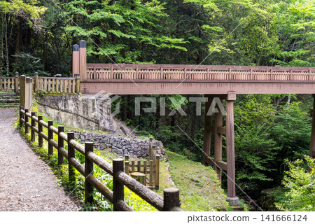 【八王子城遺址】穿過森林的古道和吊橋 【八王子城遺址】穿過森林的古道和吊橋 141666124