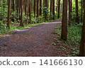 [Hachioji Castle Ruins] Forest road continuing from the castle ruins 141666130