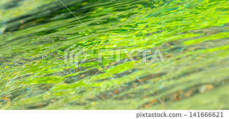 Reflections on the water's surface, fresh greenery, clear stream, eco-image (Mt. Daisen) Reflections on the water's surface, fresh greenery, clear stream, eco-image (Mt. Daisen) 141666621