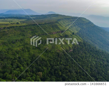 Aerial top view forest tree, Cliff large on the mountain in Asian rainforest ecosystem and healthy environment concept and background, Texture of green tree forest view from above 141666651