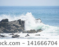 The powerful waves crash violently against the rocky shore, sending white spray rising into the air. 141666704