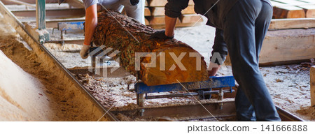 Two workers handling heavy timber log on conveyor Two workers handling heavy timber log on conveyor 141666888