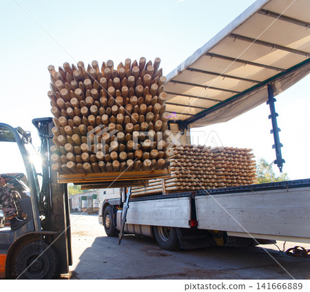 Forklift loading a bundle of pointed wooden stakes onto a truck trailer Forklift loading a bundle of pointed wooden stakes onto a truck trailer 141666889