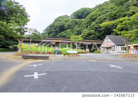 久里濱花卉公園的向日葵花田 久里濱花卉公園的向日葵花田 141667115