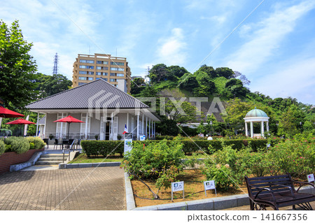Summer at Verny Park in Yokosuka City Summer at Verny Park in Yokosuka City 141667356