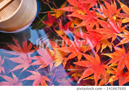 京都,二尊院:美麗的秋葉(京都府京都市右京區) 京都,二尊院:美麗的秋葉(京都府京都市右京區) 141667680