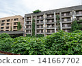 The landscape of the abandoned apartment building and connecting bridge on Ikeshima Island, being encroached upon by greenery. 141667702
