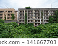 Ikeshima's coal mine housing apartments and connecting corridors, covered in deep green. 141667703