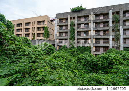 The deserted apartment buildings on Ikeshima Island stand tall in the depths of overgrown weeds. The deserted apartment buildings on Ikeshima Island stand tall in the depths of overgrown weeds. 141667705