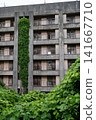 Vines growing straight up along the pillars of the abandoned apartment building on Ikeshima Island 141667710