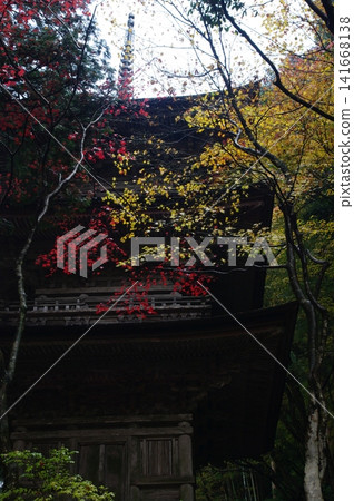 秋季,岐阜縣飯比川町谷組町的橫造寺,紅橋和三層寶塔在樹葉變色時,景色壯麗。 秋季,岐阜縣飯比川町谷組町的橫造寺,紅橋和三層寶塔在樹葉變色時,景色壯麗。 141668138