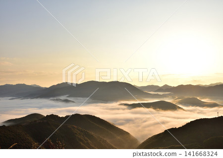 從潮見峠出發的中邊線(熊野古道)的雲海(霧) 從潮見峠出發的中邊線(熊野古道)的雲海(霧) 141668324