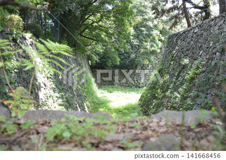 Scenery of Nagoya castle Scenery of Nagoya castle 141668456