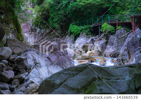 [Stream Fishing] Summer in Kakizono Valley and Kurobuchi [Nagano Prefecture] 141668539