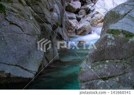 [Stream Fishing] Summer in Kakizono Valley and Kurobuchi [Nagano Prefecture] 141668541