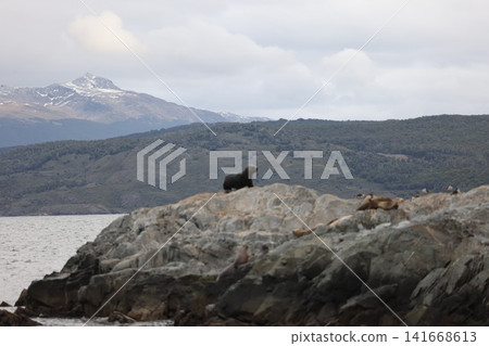 Sea monsters in the Beagle Channel of Ushuaia Sea monsters in the Beagle Channel of Ushuaia 141668613