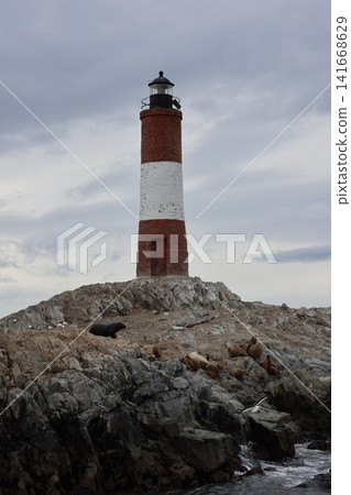 Lighthouse and marine mammals in the Beagle Channel of Ushuaia Lighthouse and marine mammals in the Beagle Channel of Ushuaia 141668629