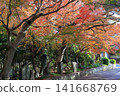 秋葉裝點通往神社的小路。 141668769