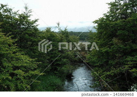 烏斯懷亞的森林和溪流景色 烏斯懷亞的森林和溪流景色 141669468