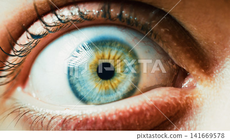 Blue eye look into the camera Blue eye look into the camera 141669578